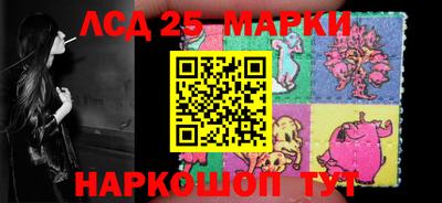 шишки Кандалакша