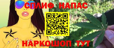 шишки Кандалакша