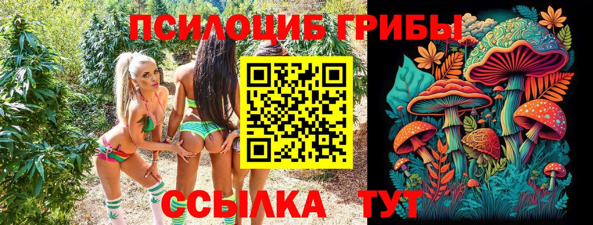 Псилоцибиновые грибы мицелий Черногорск