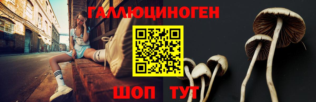 Галлюциногенные грибы ЛСД  Вход с VPN  Черногорск 